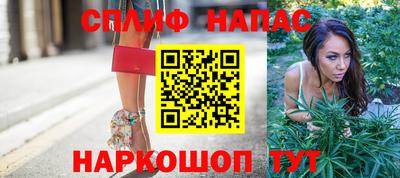 индика Аргун