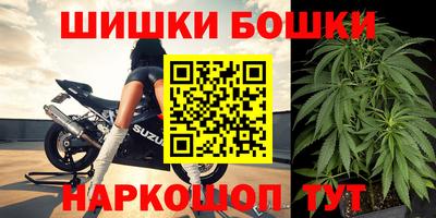 индика Аргун