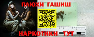 индика Аргун