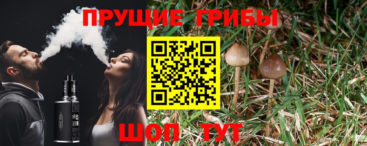 Псилоцибиновые грибы ЛСД  где продают наркотики  Будённовск  Вход с VPN 