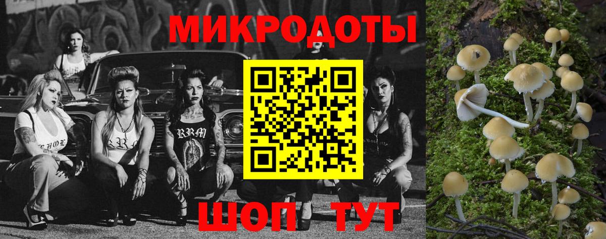 Галлюциногенные грибы GOLDEN TEACHER Будённовск