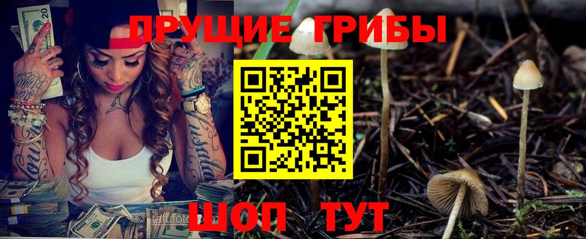 Псилоцибиновые грибы Cubensis  как найти   Будённовск  Псилоцибиновые грибы мухоморы 